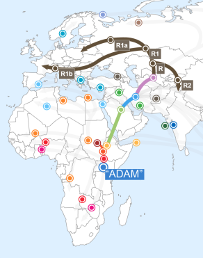R1b Haplogroup Migration Map FTDNA